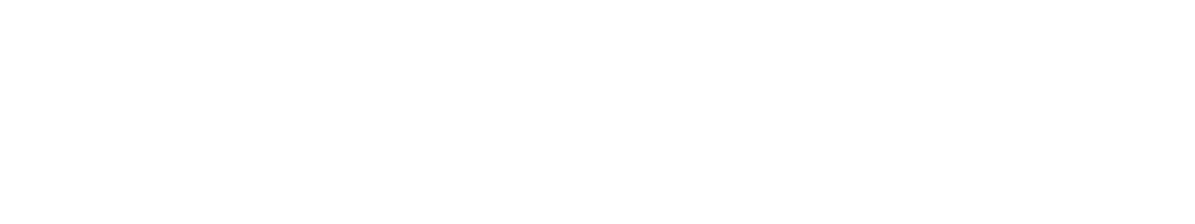 Navanta logo - homepage