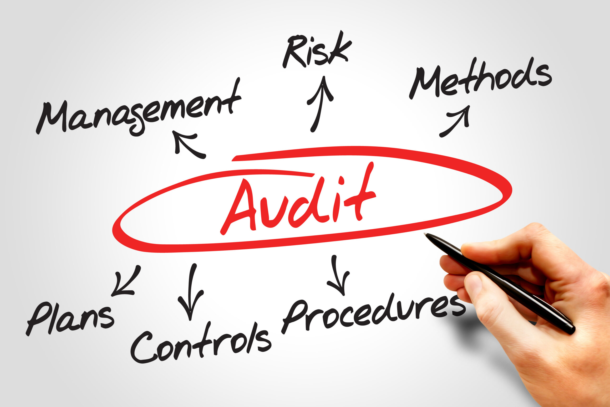 Audit and Risk Management